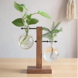 Glass Planter With Wooden Base